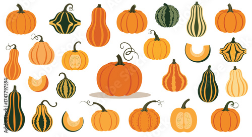 A bountiful collection of diverse pumpkins and gourds showcasing autumnal harvest imagery.