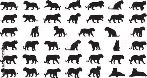 Tiger Silhouettes in Various Poses Vector Illustration