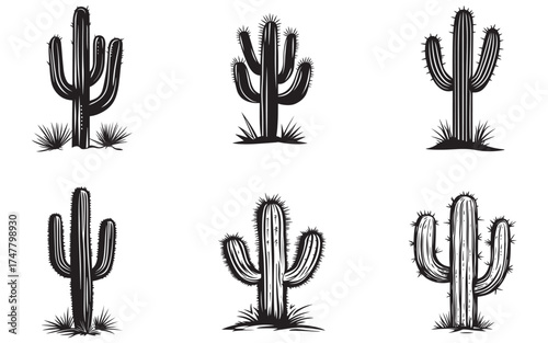 Desert Cactus Silhouette Vector  Saguaro Plant Outline Design