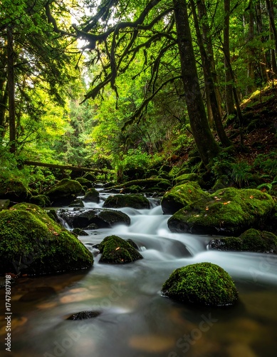 Tranquil stream flowing through a lush, vibrant green forest