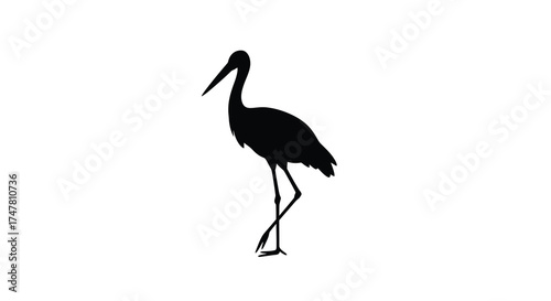 Elegant silhouette of a standing stork bird in profile symbolizing nature and wildlife gracefully isolated silhouette