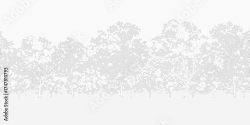 Monochromatic silhouette of a dense forest canopy against a bright white sky