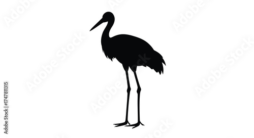 Silhouette of a majestic crane standing tall with delicate legs gracefully isolated on a pure white canvas silhouette