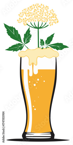 Vector illustration of a foamy glass of beer garnished with an elderflower sprig
