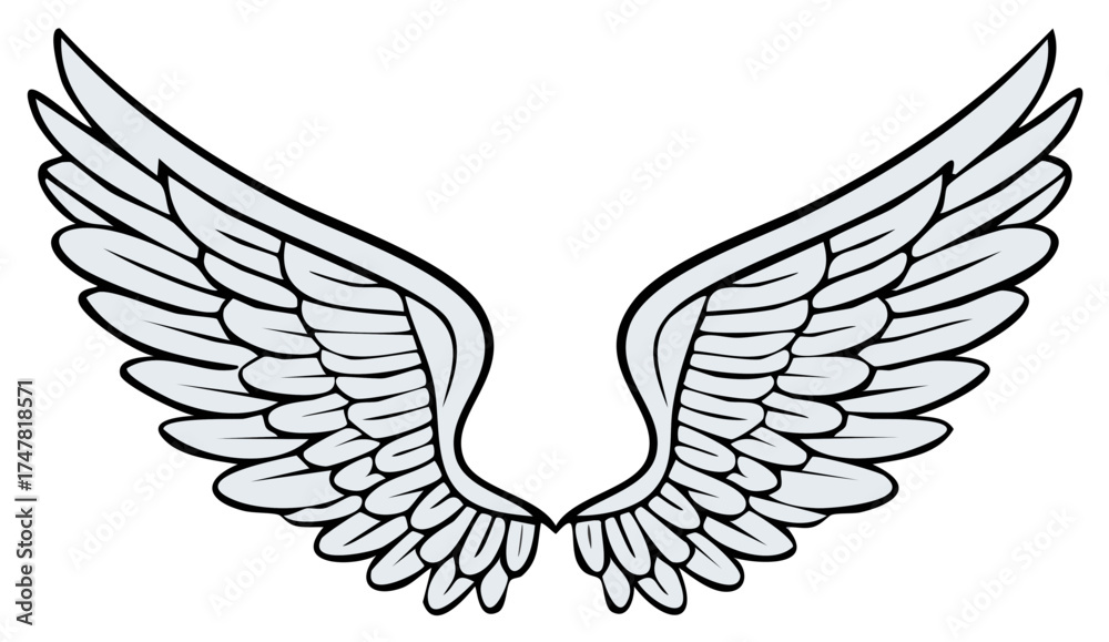 Obraz premium Stylized Wings Spread Open Drawing Illustration Angel Feathered Flying