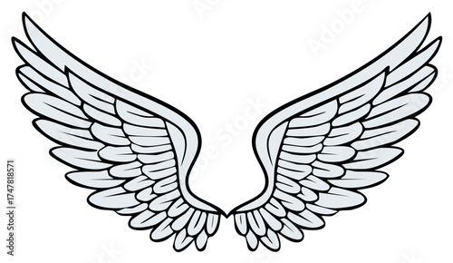 Stylized Wings Spread Open Drawing Illustration Angel Feathered Flying