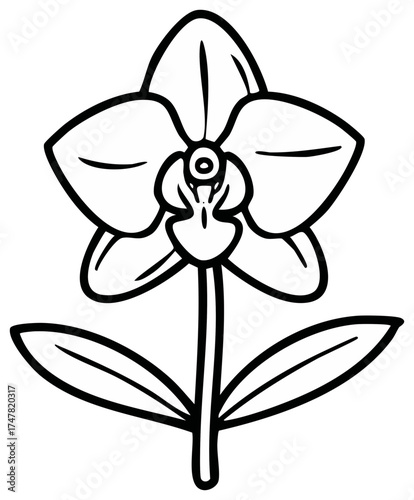 Elegant Orchid Flower Outline Illustration, Single Bloom Isolated on White