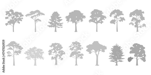 Collection of diverse grey tree silhouettes on a white background representing various species and shapes