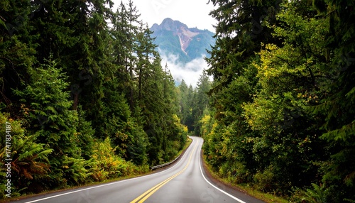 Winding road through lush green forest, leading to mountain peak