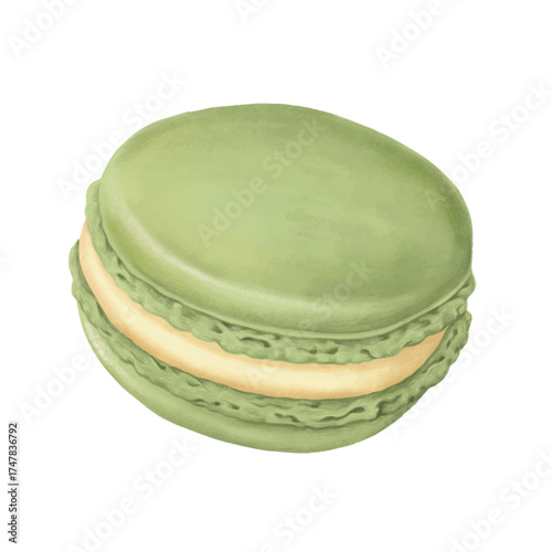 Sweet macaron illustration isolated on white background.