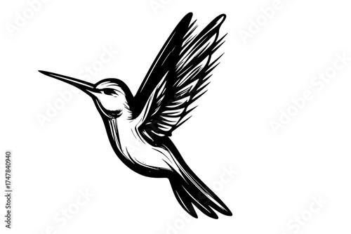 Hummingbird Silhouette in Flight with Dynamic Grace