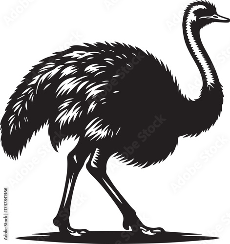 Elegant emu silhouette for striking logo design or bold nature-themed artwork