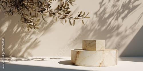 Minimalist beige marble geometric shapes with natural shadows and leafy branch on wall
