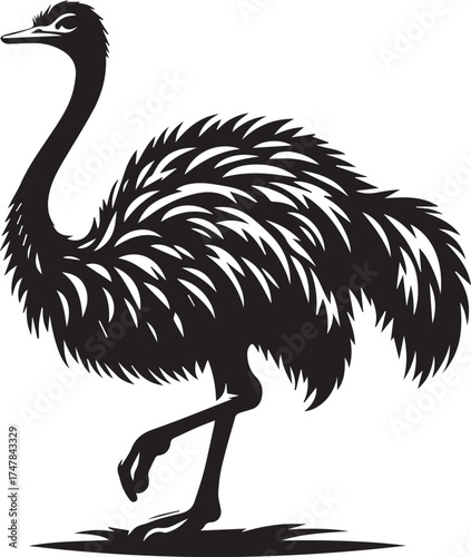 Elegant ostrich silhouette illustration for modern branding and logo design projects