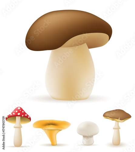 nature mushrooms cartoon stock vector illustration isolated on white background