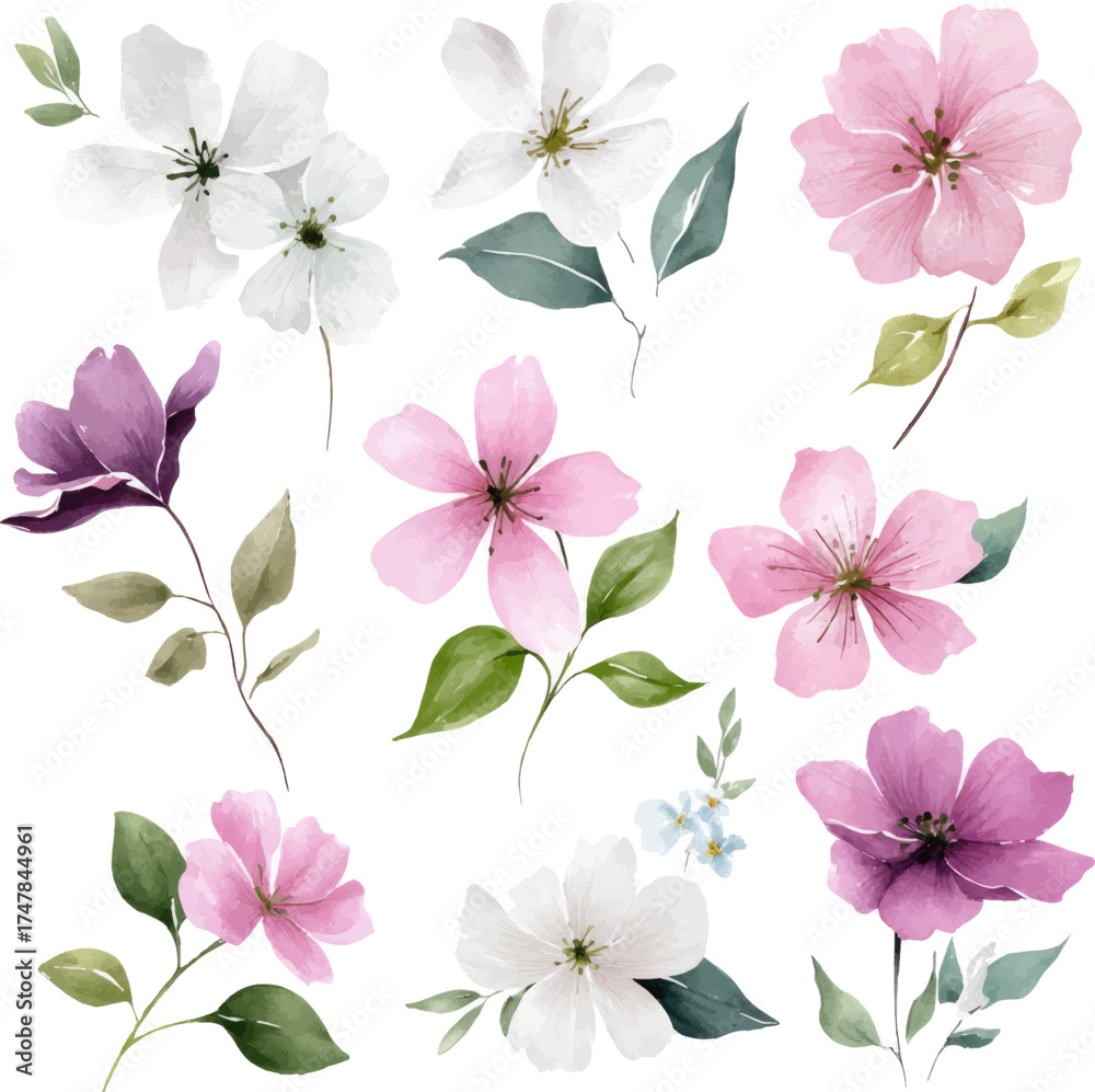 Fototapeta premium Watercolor clipart of different white, pink, and purple flowers with green leaves on a pure white background, using a pastel color palette