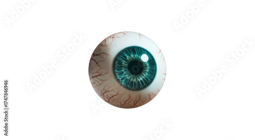 Realistic Human Eyeball with Blue Iris and Red Veins isolated on a transparent background