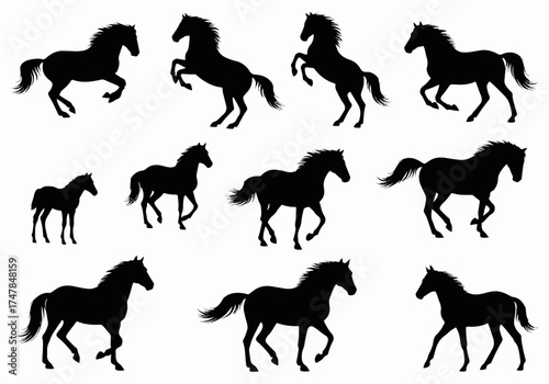 horse silhouettes set