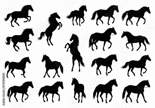 horse silhouettes vector