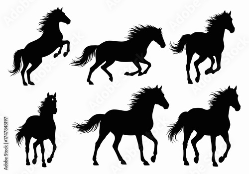 Set of running wild horse and stallion silhouettes, vector animal collection illustration