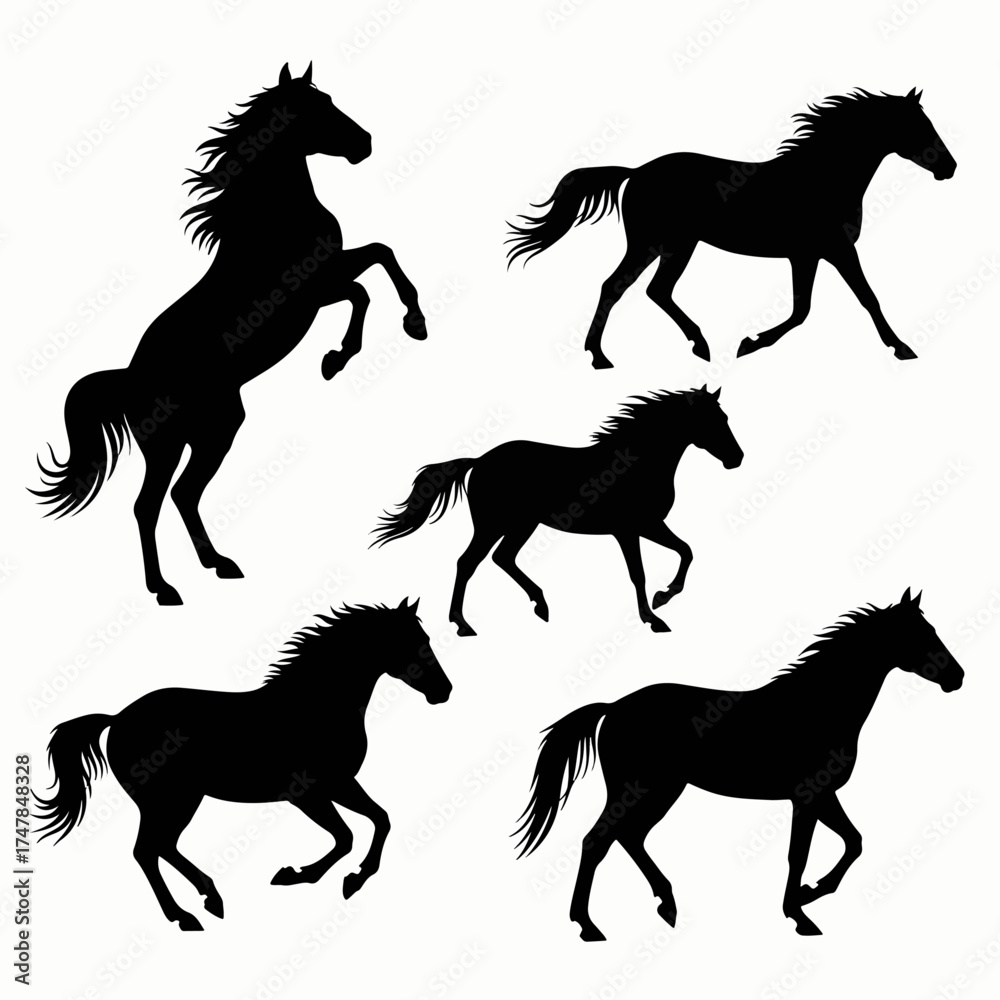 Fototapeta premium Set of horse silhouettes