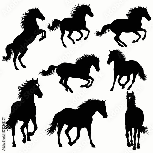 Vector collection of horse silhouettes illustrations featuring running wild stallions and farm animal icons