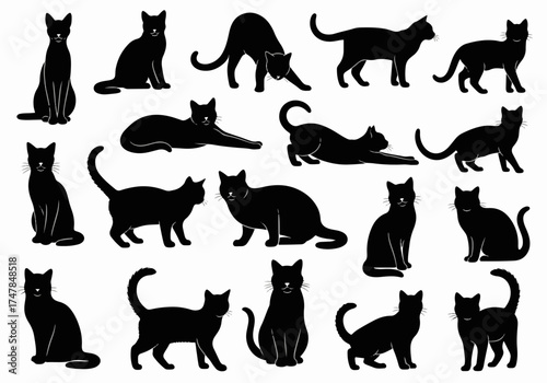 Black set of cat and kitten silhouettes vector collection illustration