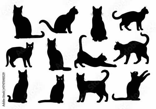 Set of black cat silhouettes vector illustration icon collection
