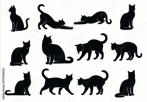 Black vector silhouettes of domestic cat in a collection set