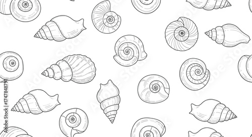 A collection of hand-drawn seashell illustrations on a white background.