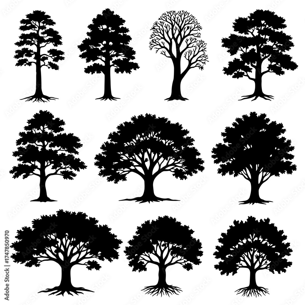 Fototapeta premium A comprehensive collection of tree silhouettes featuring vector illustrations of oak, pine, and palm branches in a black nature design pattern for forest art icons