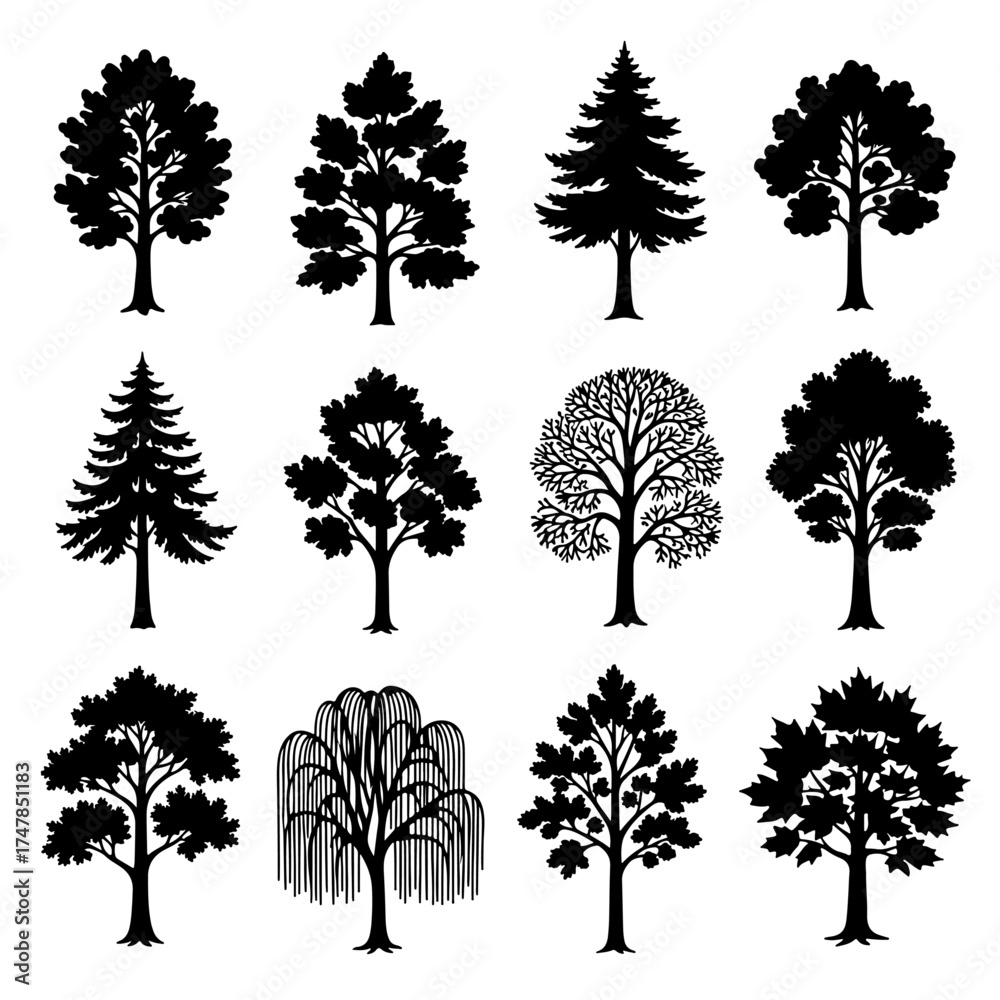 Fototapeta premium set of trees silhouettes