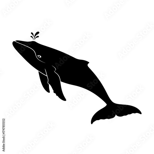 Silhouette of a whale