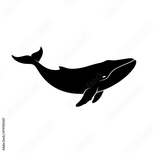 Silhouette of a whale