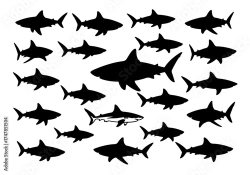 Set of fish silhouettes and marine animal vectors featuring shark and wildlife designs in a seamless underwater nature pattern for sea life ocean art illustrations