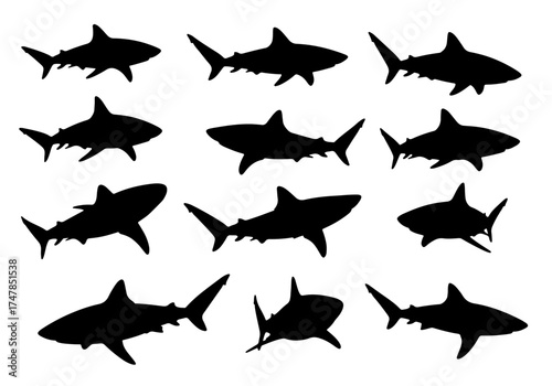 A diverse set of marine fish graphics showing eighteen different shark silhouettes in profile.