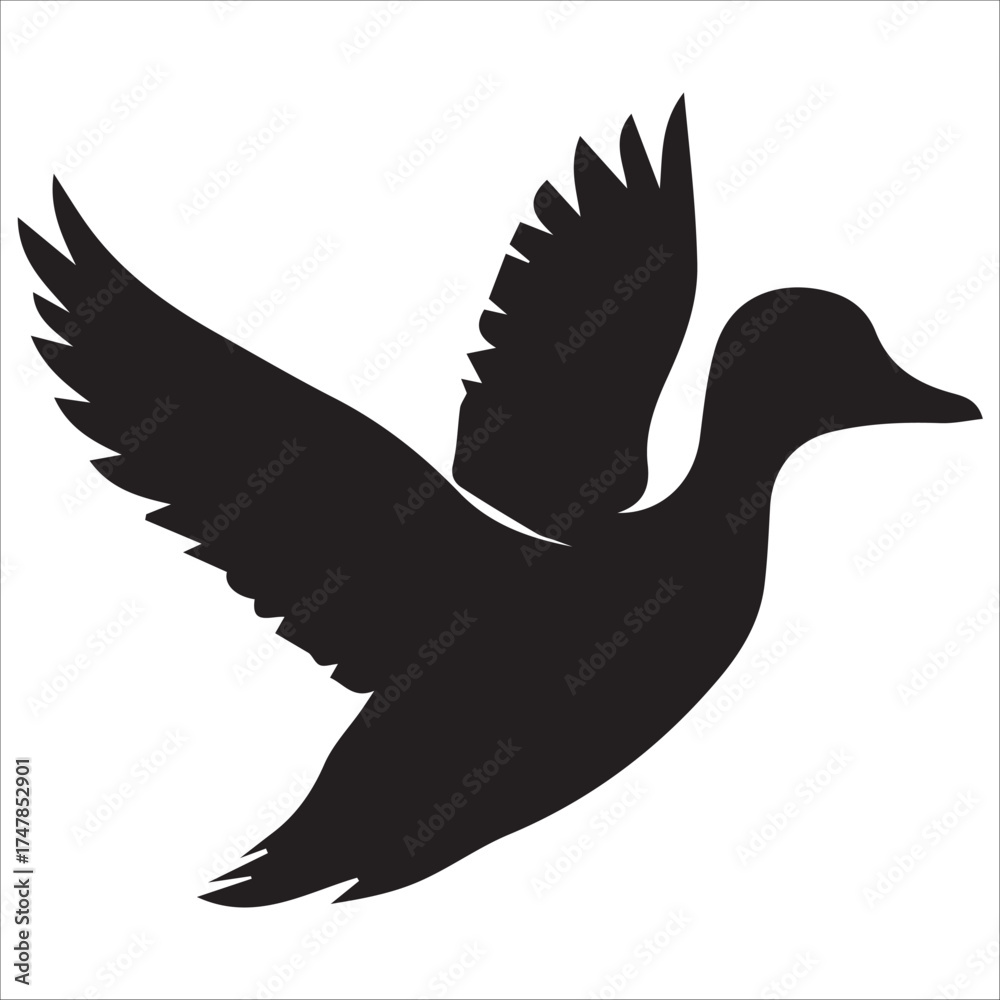 Obraz premium Flying Duck with Spread Wings Silhouette Design