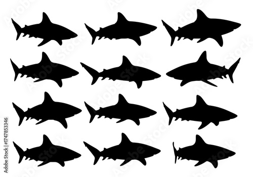 Vector set of fish and shark silhouettes for marine animal illustration and fishing design