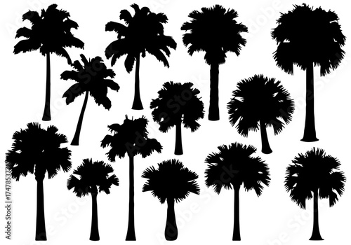 Palm tree and tree silhouettes vector illustration collection