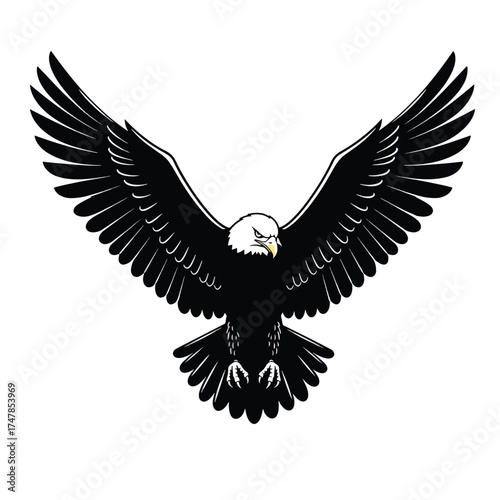 Majestic Bald Eagle with Wings Spread Wide