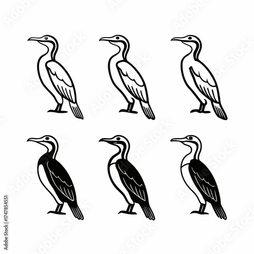 Six cormorants in two rows black and white vector illustration of birds