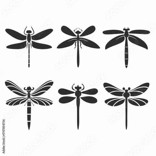 Collection of six different dragonfly icons, representing nature and transformation