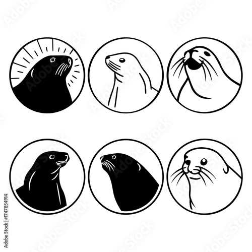 Collection of sea lion illustrations with silhouette and outline styles