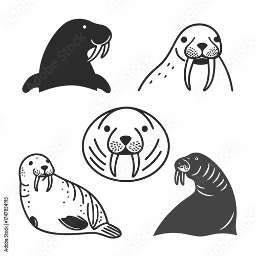 Collection of walrus illustrations with silhouette and outline styles