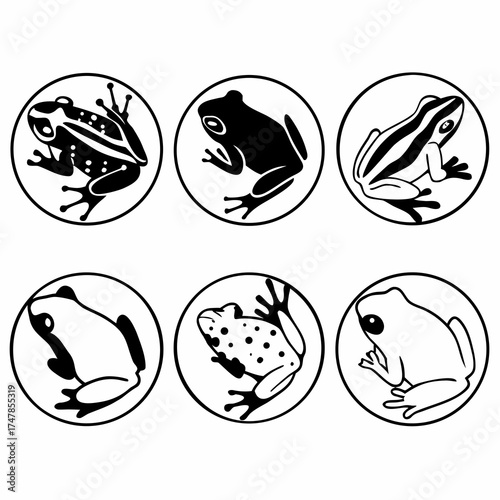 A diverse collection of frog illustrations, each showcasing unique patterns and characteristics