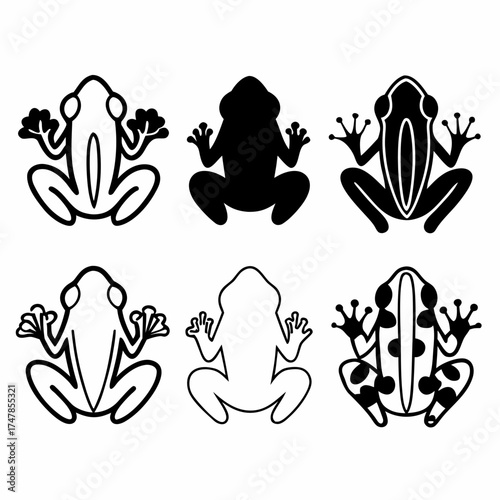 Collection of frog illustrations in various styles for design projects and decoration