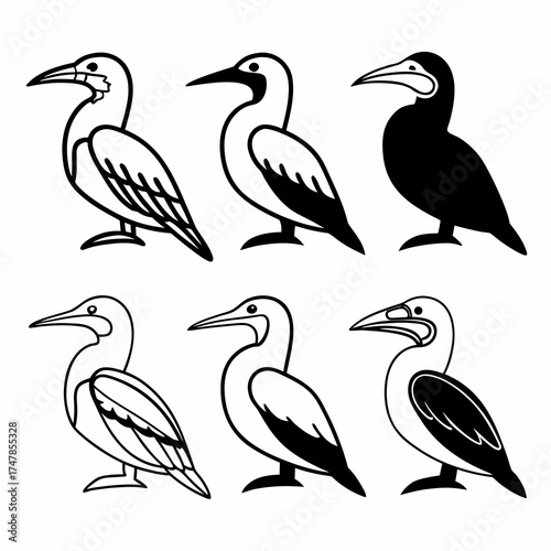 Set of six cormorant bird illustrations, showcasing diverse plumage patterns and poses