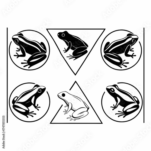 A collection of poison dart frog illustrations, showcasing diverse patterns and colors