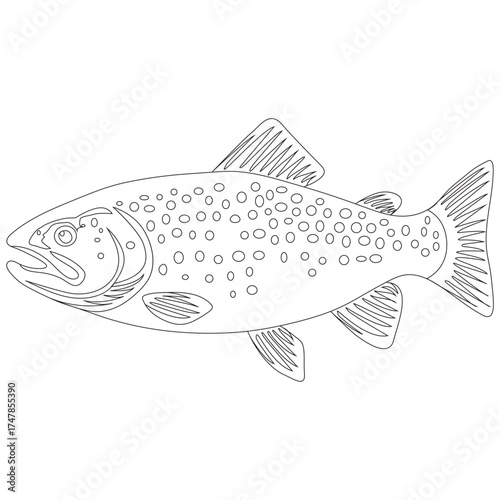 Trout Fish icon, Logo vector