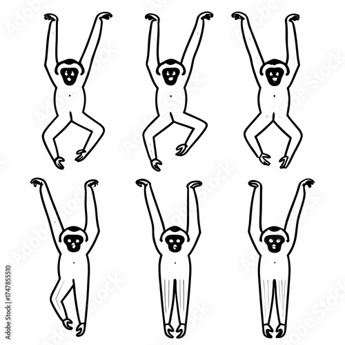 Illustration of six gibbons hanging with arms raised, black and white drawing